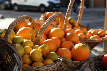 Mercadinho Rural_11